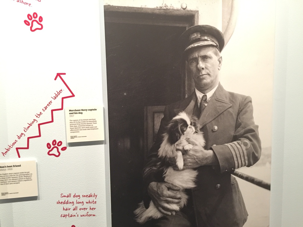 National Maritime Museum: Dogs and Cats All at Sea