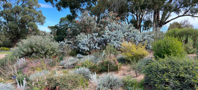Kings Park And Botanic Garden Western Australia